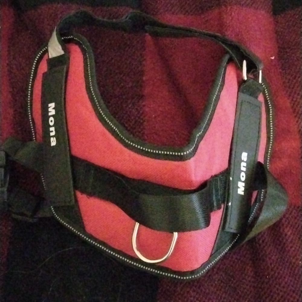 Mona small dog harness